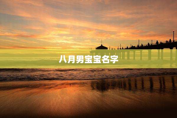 八月男宝宝名字