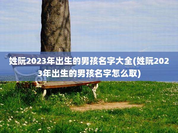 姓阮2023年出生的男孩名字大全(姓阮2023年出生的男孩名字怎么取)