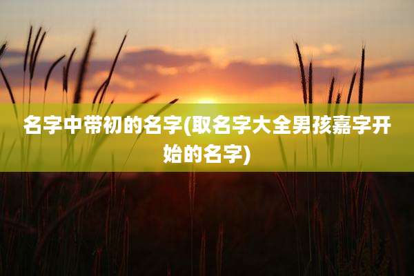 名字中带初的名字(取名字大全男孩嘉字开始的名字)