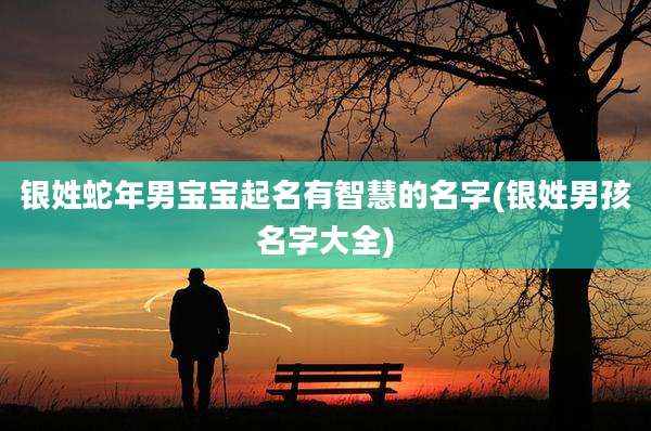 银姓蛇年男宝宝起名有智慧的名字(银姓男孩名字大全)