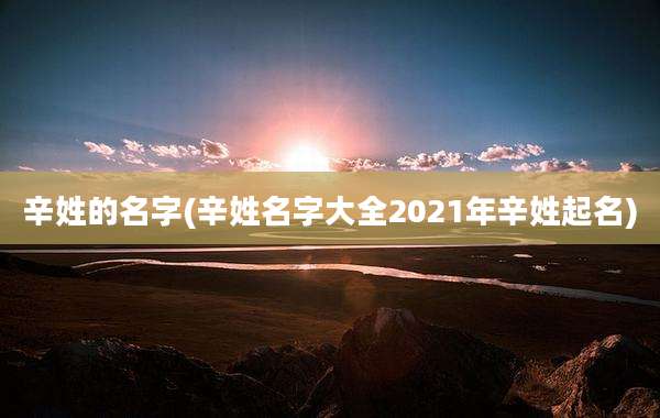 辛姓的名字(辛姓名字大全2021年辛姓起名)