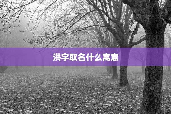 洪字取名什么寓意