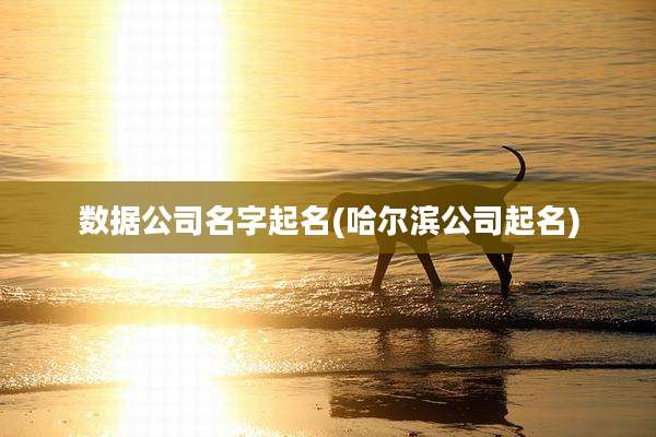 数据公司名字起名(哈尔滨公司起名)