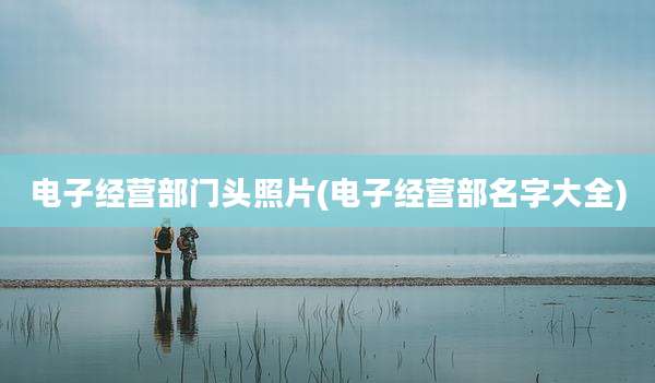 电子经营部门头照片(电子经营部名字大全)