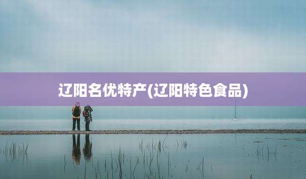 辽阳名优特产(辽阳特色食品)