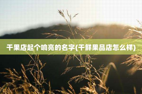 干果店起个响亮的名字(干鲜果品店怎么样)