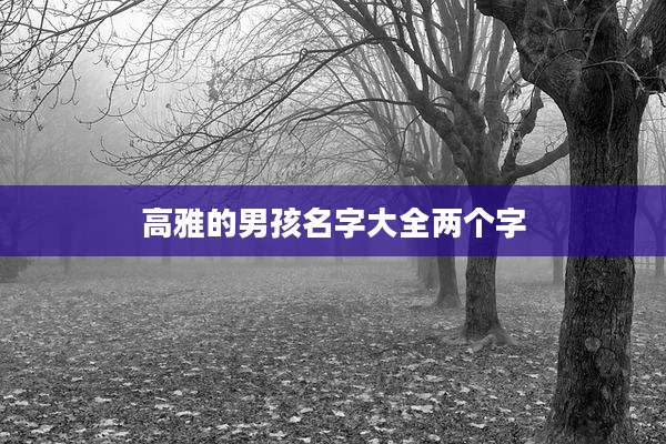 高雅的男孩名字大全两个字