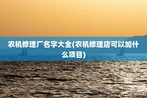 农机修理厂名字大全(农机修理店可以加什么项目)