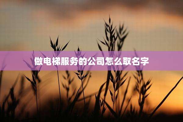 做电梯服务的公司怎么取名字