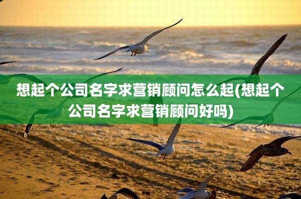 想起个公司名字求营销顾问怎么起(想起个公司名字求营销顾问好吗)