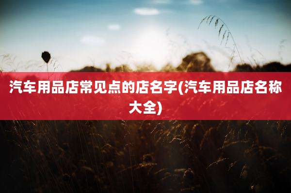 汽车用品店常见点的店名字(汽车用品店名称大全)