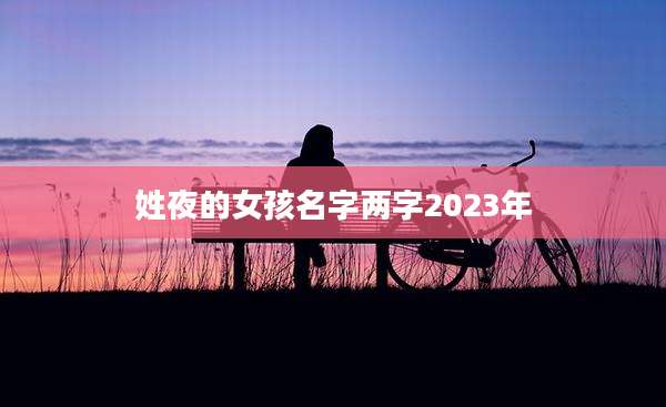 姓夜的女孩名字两字2023年