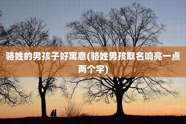 骆姓的男孩子好寓意(骆姓男孩取名响亮一点两个字)