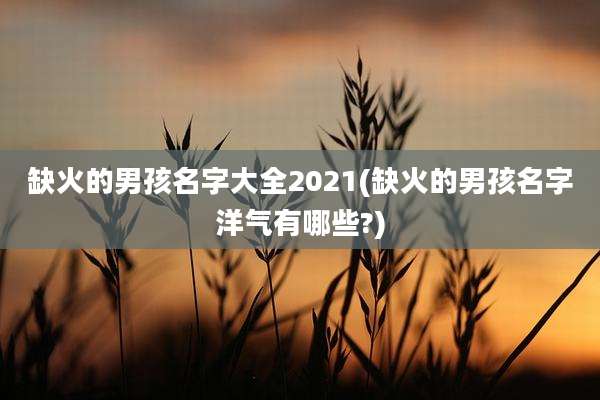 缺火的男孩名字大全2021(缺火的男孩名字洋气有哪些?)