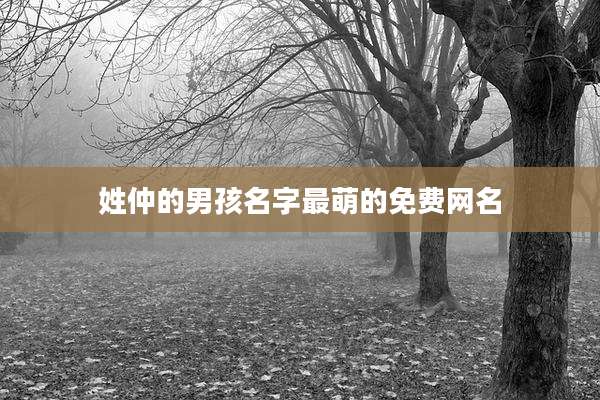 姓仲的男孩名字最萌的免费网名