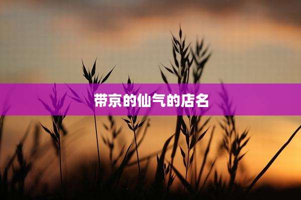 带京的仙气的店名
