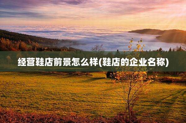 经营鞋店前景怎么样(鞋店的企业名称)