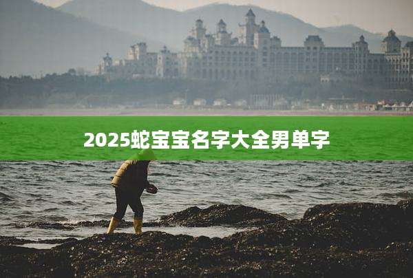 2025蛇宝宝名字大全男单字