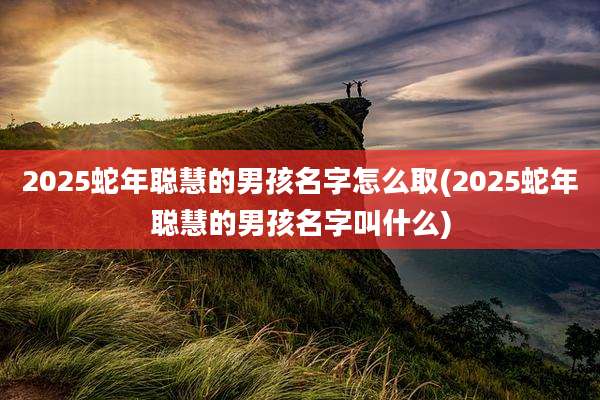 2025蛇年聪慧的男孩名字怎么取(2025蛇年聪慧的男孩名字叫什么)
