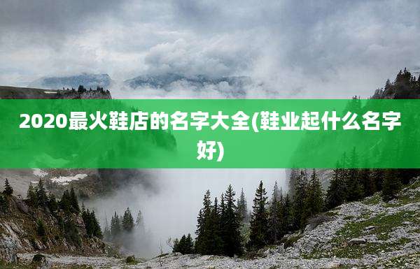 2020最火鞋店的名字大全(鞋业起什么名字好)