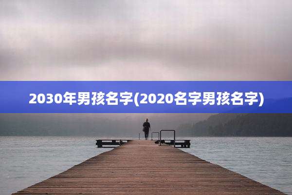 2030年男孩名字(2020名字男孩名字)