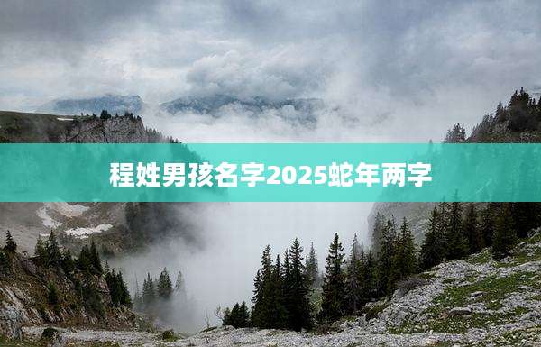 程姓男孩名字2025蛇年两字