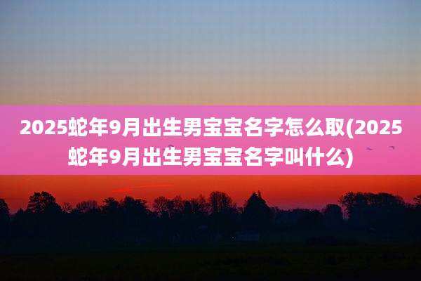 2025蛇年9月出生男宝宝名字怎么取(2025蛇年9月出生男宝宝名字叫什么)