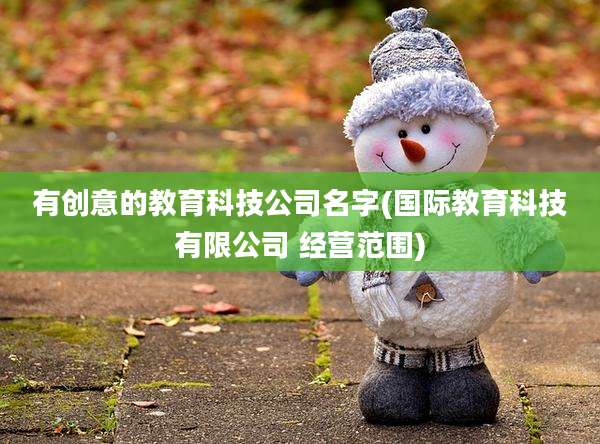 有创意的教育科技公司名字(国际教育科技有限公司 经营范围)