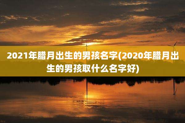 2021年腊月出生的男孩名字(2020年腊月出生的男孩取什么名字好)