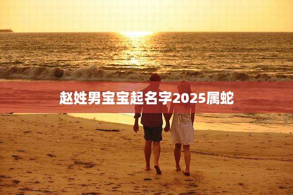 赵姓男宝宝起名字2025属蛇