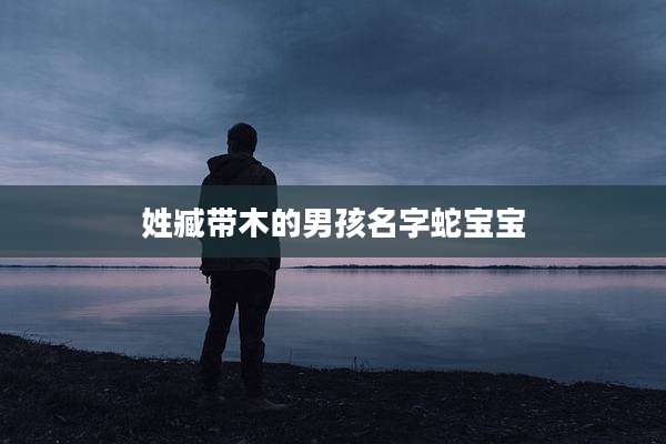 姓臧带木的男孩名字蛇宝宝