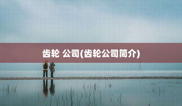 齿轮 公司(齿轮公司简介)