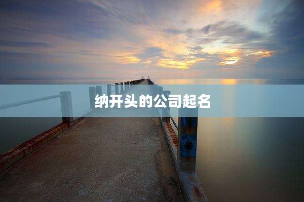 纳开头的公司起名