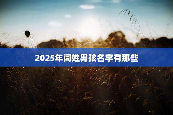 2025年闫姓男孩名字有那些