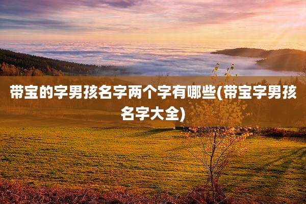 带宝的字男孩名字两个字有哪些(带宝字男孩名字大全)