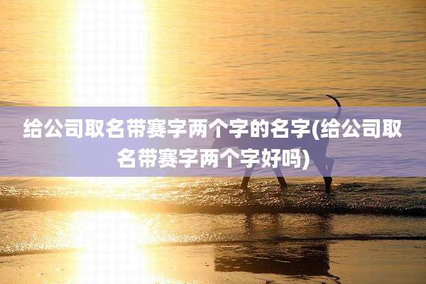 给公司取名带赛字两个字的名字(给公司取名带赛字两个字好吗)
