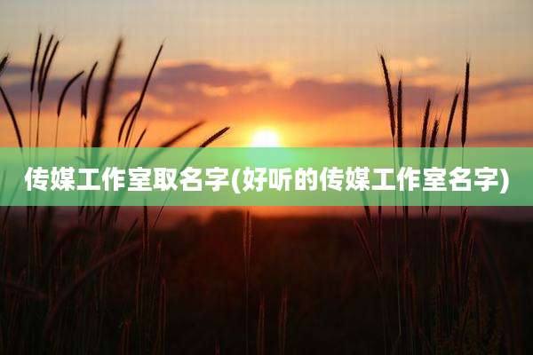 传媒工作室取名字(好听的传媒工作室名字)