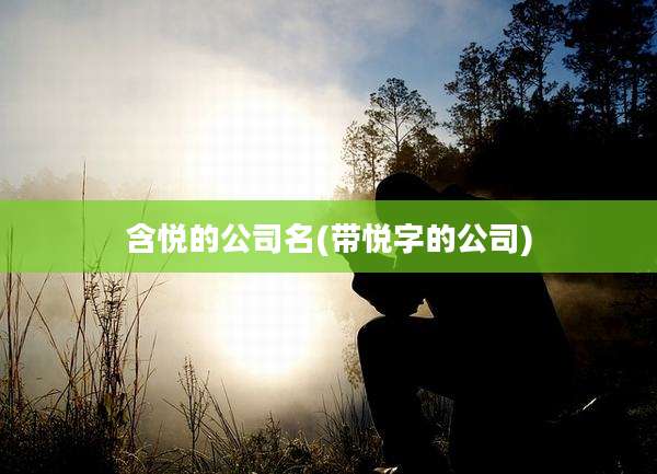 含悦的公司名(带悦字的公司)