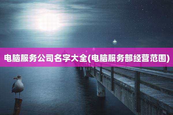 电脑服务公司名字大全(电脑服务部经营范围)
