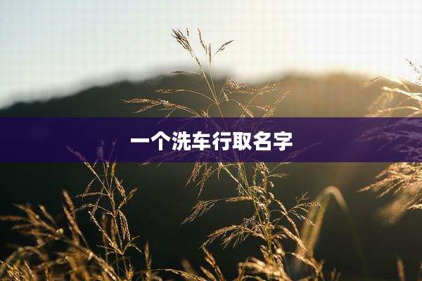 一个洗车行取名字
