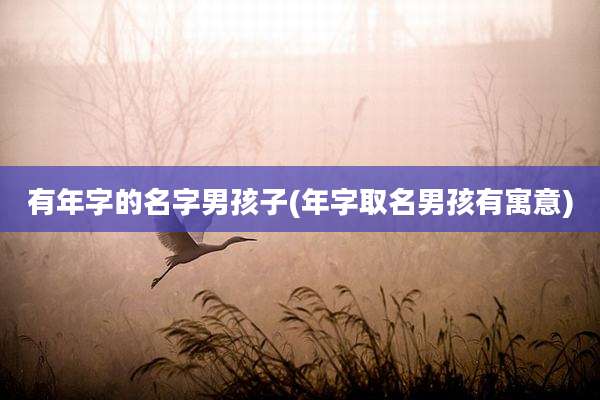 有年字的名字男孩子(年字取名男孩有寓意)