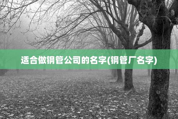 适合做钢管公司的名字(钢管厂名字)