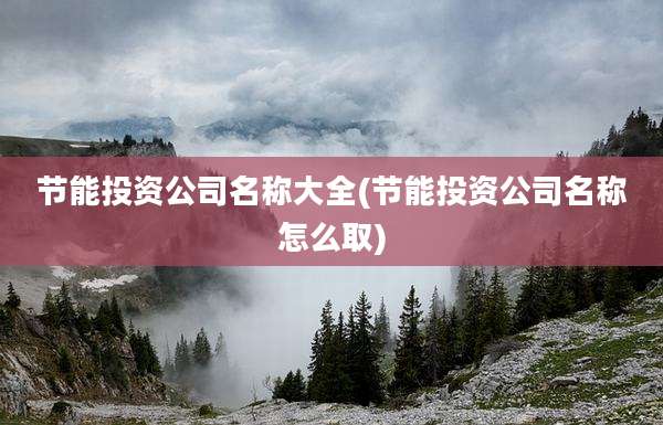 节能投资公司名称大全(节能投资公司名称怎么取)