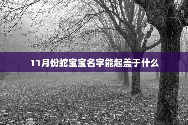 11月份蛇宝宝名字能起盖于什么