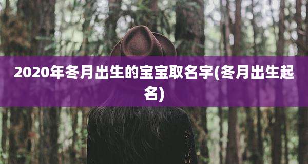 2020年冬月出生的宝宝取名字(冬月出生起名)