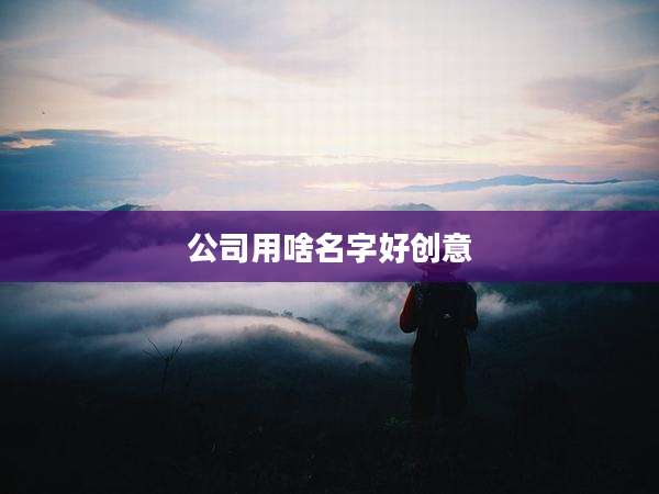 公司用啥名字好创意