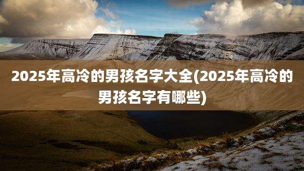 2025年高冷的男孩名字大全(2025年高冷的男孩名字有哪些)