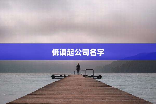 低调起公司名字