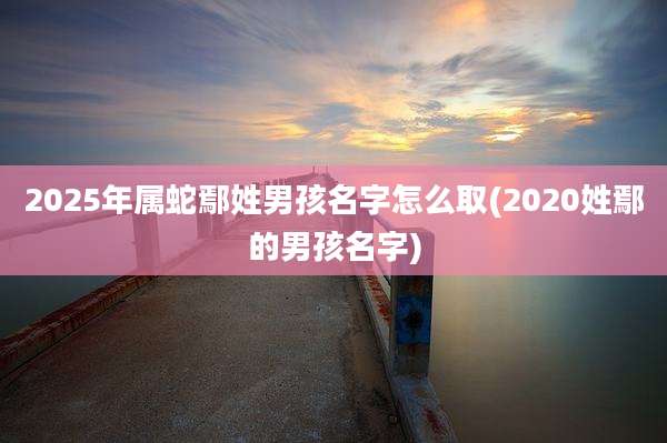 2025年属蛇鄢姓男孩名字怎么取(2020姓鄢的男孩名字)