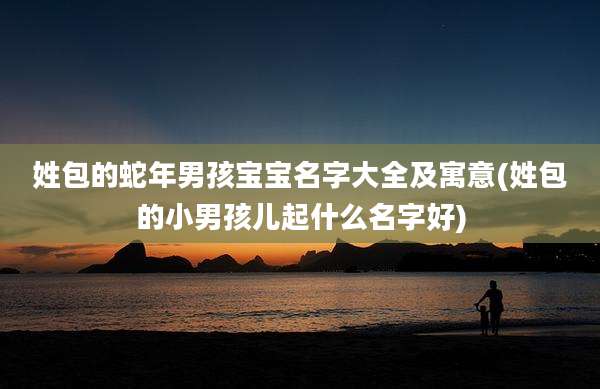 姓包的蛇年男孩宝宝名字大全及寓意(姓包的小男孩儿起什么名字好)